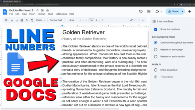 How to Add Line Numbers in Google Docs