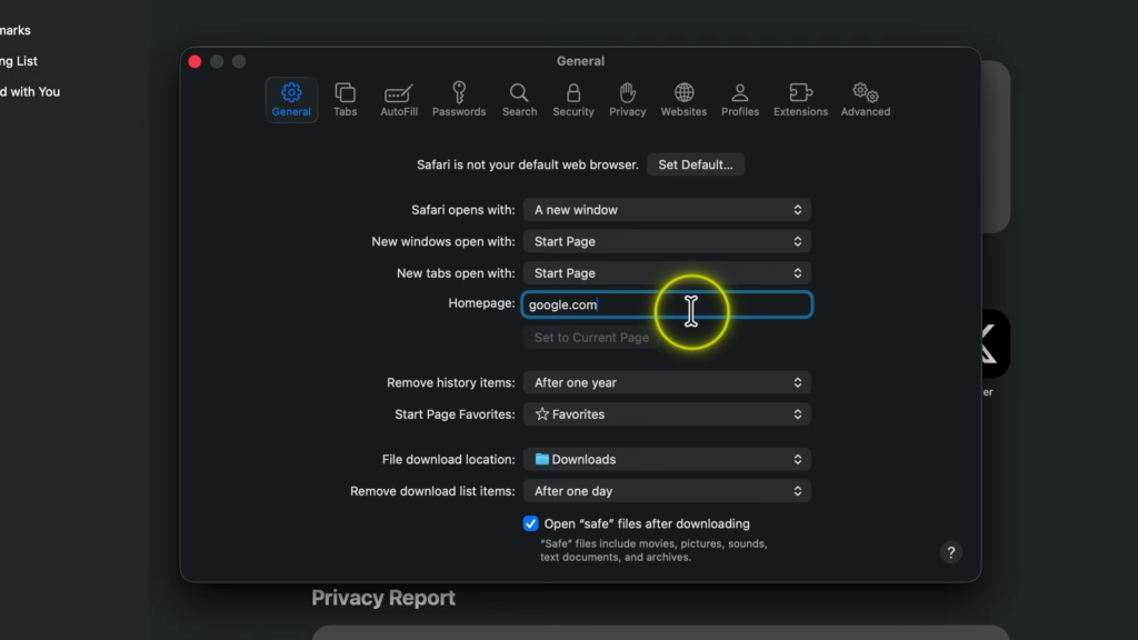 Safari General settings showing the Homepage field set to Google.